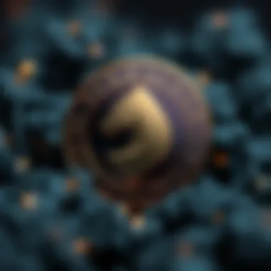 Magnificent A Comprehensive Exploration of CloakCoin