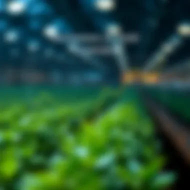 Graph illustrating the mechanisms of yield generation in DeFi