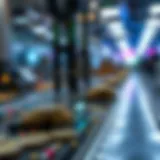Examining Coinbase DAO: Structure, Functionality, and Impact Introduction