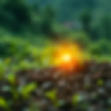 Environmental Impact of Carbon Credits Environmental impact of carbon credits