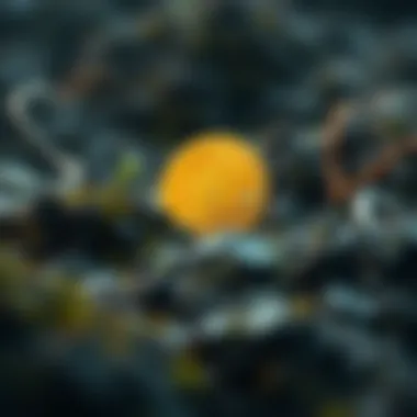 Environmental effects of mining activities