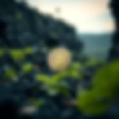 Mining and Ecology: A Complex Relationship Environmental impact of Bitcoin mining