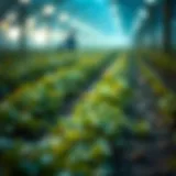 Core Principles of DeFi Farming Visual representation of DeFi farming concepts