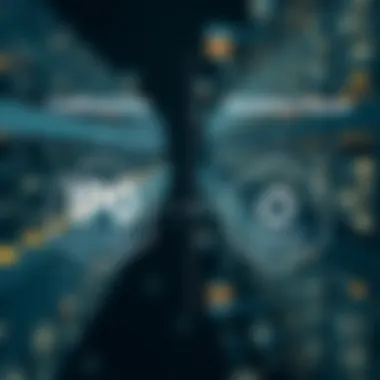 Traditional IPOs vs Blockchain Ventures Diagram illustrating the relationship between traditional IPOs and blockchain ventures