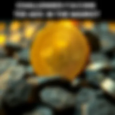 Challenges Facing Terra Coin in the Market Infographic on the challenges faced by Terra Coin in the market